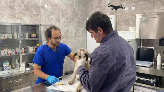 Hayvanseverler rehabilitasyon merkezine gitti, sosyal medyadaki iddialar yalanlandı