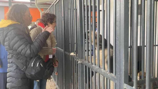 Hayvanseverler rehabilitasyon merkezine gitti, sosyal medyadaki iddialar yalanlandı