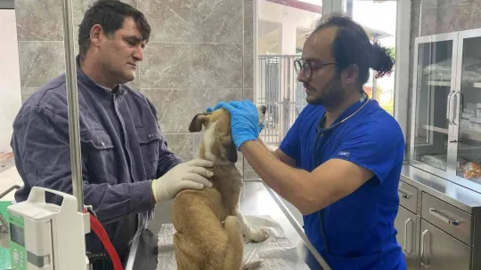 Hayvanseverler rehabilitasyon merkezine gitti, sosyal medyadaki iddialar yalanlandı