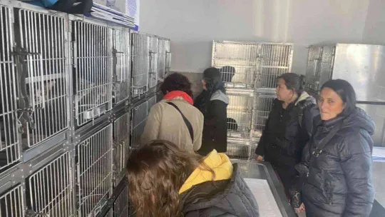 Hayvanseverler rehabilitasyon merkezine gitti, sosyal medyadaki iddialar yalanlandı