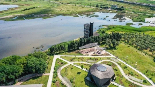 Hersek Lagünü'nde kuş türü 248'e yükseldi