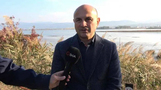 Hersek Lagünü'nde kuş türü 248'e yükseldi