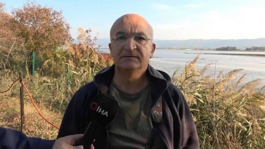 Hersek Lagünü'nde kuş türü 248'e yükseldi