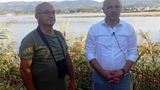 Hersek Lagünü'nde kuş türü sayısı 249'a ulaştı