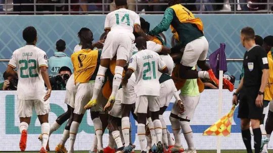 Hollanda ve Senegal, Dünya Kupası'nda son 16'ya kaldı