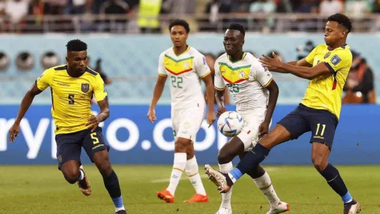 Hollanda ve Senegal, Dünya Kupası'nda son 16'ya kaldı