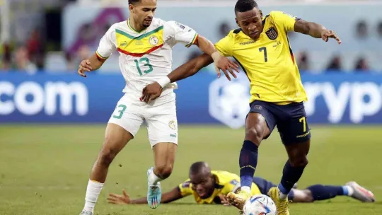 Hollanda ve Senegal, Dünya Kupası'nda son 16'ya kaldı