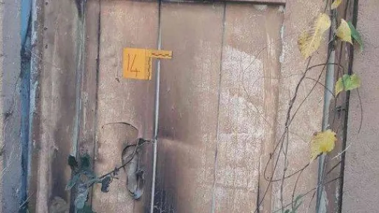 Husumetlisinin evini kundaklamaya gitti, ağabeyi vuruldu