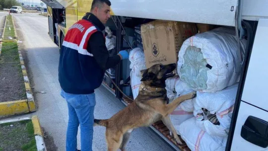 İçişleri Bakanlığı: '12'si yabancı uyruklu olmak üzere 41 organizatör gözaltına alınırken, bin 164 düzensiz göçmen de yakalandı'