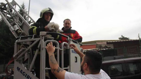 İHA muhabirine çirkin saldırı