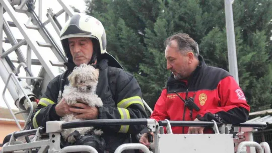 İHA muhabirine çirkin saldırı