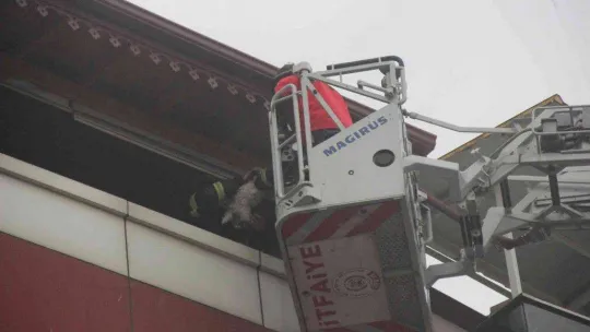 İHA muhabirine çirkin saldırı