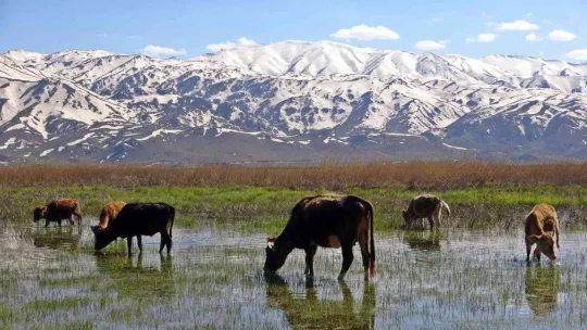 İHA objektiflerinden 2022 yılı