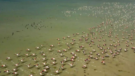 İHA objektiflerinden 2022 yılı