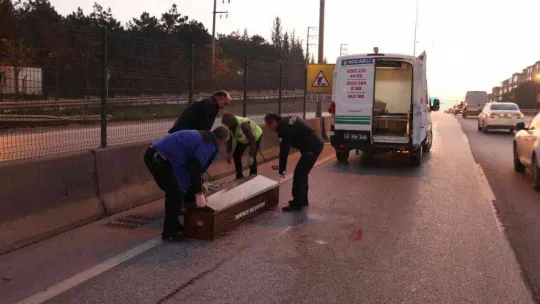 İki aracın çarpmasıyla ölen şahsın, yürek burkan detayı ortaya çıktı