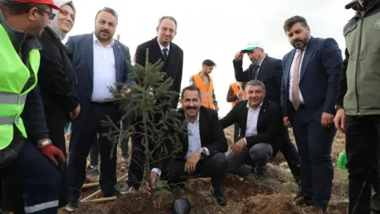 İlçenin ilk hatıra ormanı: 2 bin 500 fidan toprakla buluştu