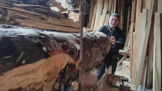 İlerlemiş yaşına rağmen 500 kiloluk tomrukları keresteye dönüştürüyor