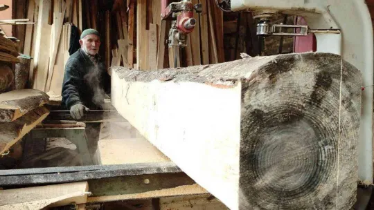 İlerlemiş yaşına rağmen 500 kiloluk tomrukları keresteye dönüştürüyor