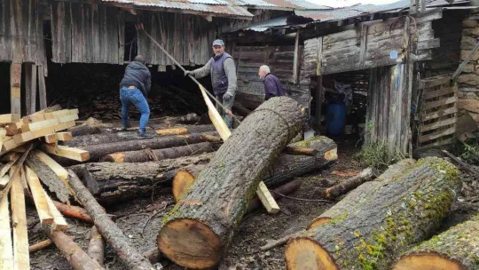 İlerlemiş yaşına rağmen 500 kiloluk tomrukları keresteye dönüştürüyor