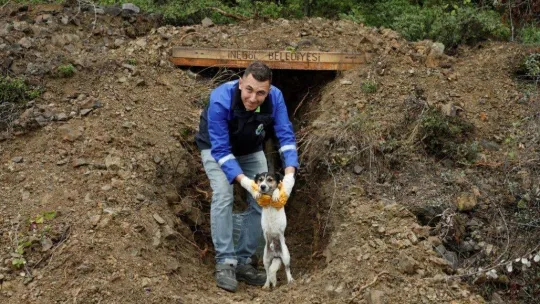 İnegöl'de E-Devlet üzerinden hayvan sahiplenme işlemi başladı