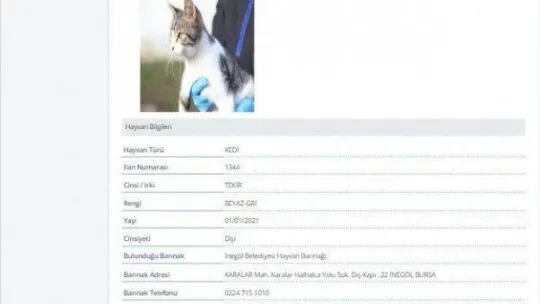 İnegöl'de E-Devlet üzerinden hayvan sahiplenme işlemi başladı