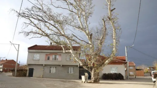 İnegöl Şipali Mahallesi'nde tüm yollar yenileniyor