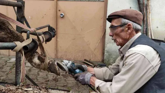 İneklere yapılan manikür pedikür verimi arttırdı