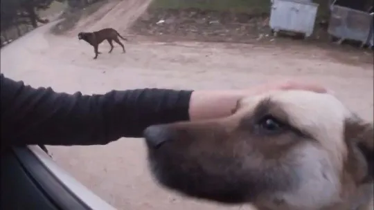 İnsanın içini ısıtan buluşma