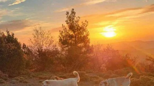 İnsanın içini ısıtan buluşma