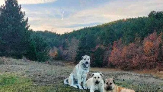 İnsanın içini ısıtan buluşma