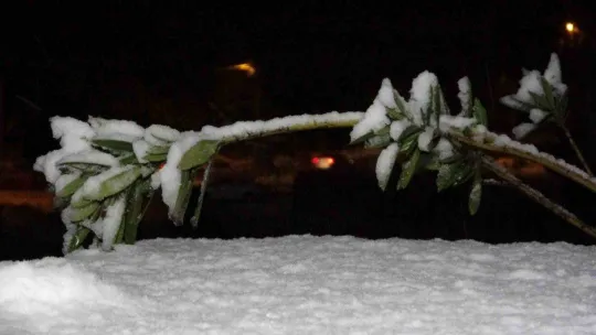İstanbul'a kar yağdı, Aydos Tepesi beyaza büründü