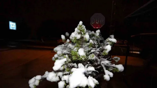 İstanbul'a kar yağdı, Aydos Tepesi beyaza büründü