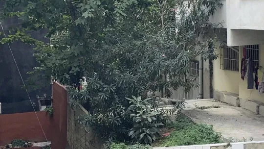 İstanbul'da 14 yaşındaki genç kızın sır ölümü: 11. kattan aşağıya düştü