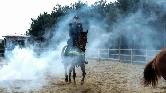 İstanbul'da atlı polislerden nefes kesen tatbikat