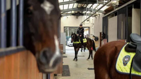 İstanbul'da atlı polislerden nefes kesen tatbikat