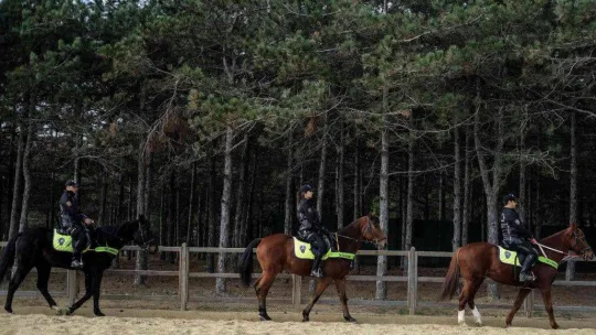 İstanbul'da atlı polislerden nefes kesen tatbikat