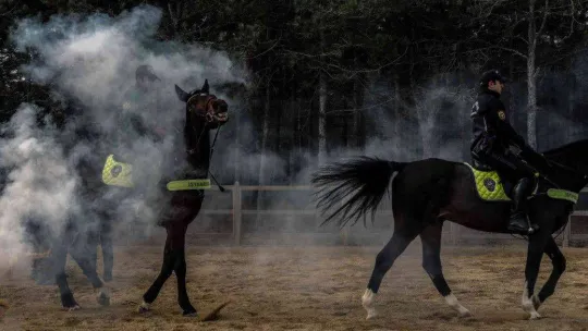 İstanbul'da atlı polislerden nefes kesen tatbikat
