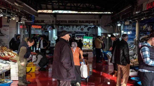 İstanbul'da balık tezgahlarının en ucuz balığı 70 TL ile hamsi oldu