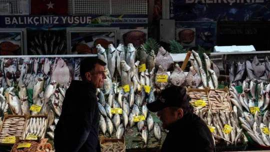 İstanbul'da balık tezgahlarının en ucuz balığı 70 TL ile hamsi oldu
