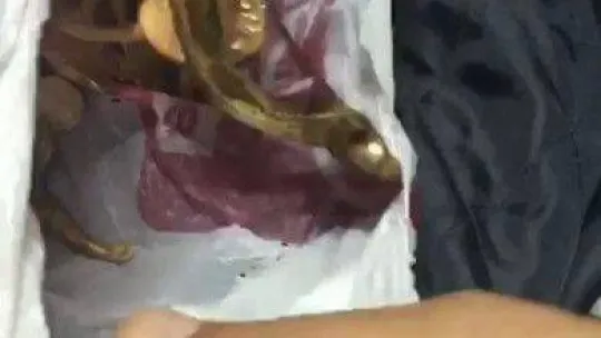 İstanbul'da film gibi olay: Define avcıları sikkeleri paylaşamayınca yakalandı