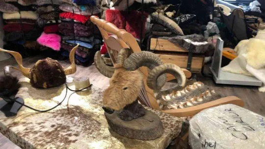 İstanbul'da hayvan derisi operasyonu