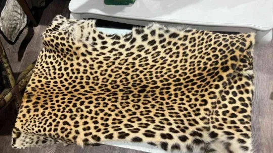 İstanbul'da hayvan derisi operasyonu