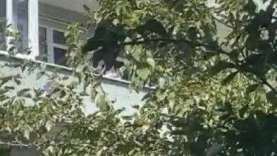 İstanbul'da maganda dehşeti kamerada: Yurtdışından gelip baldızının düğününde ateş açtı