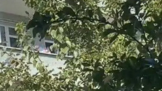 İstanbul'da maganda dehşeti kamerada: Yurtdışından gelip baldızının düğününde ateş açtı