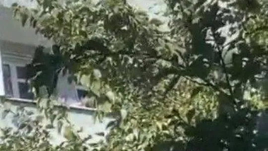 İstanbul'da maganda dehşeti kamerada: Yurtdışından gelip baldızının düğününde ateş açtı