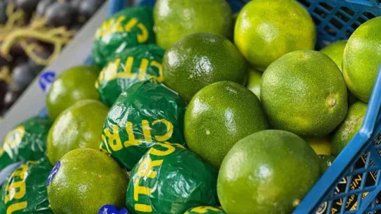 İstanbul'da sebze ve meyve halinde bolluk yaşanıyor