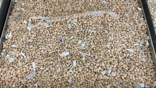 İstanbul'da son 1 ayda 455 kilogram ve 494 bin adet uyuşturucu madde ele geçirildi