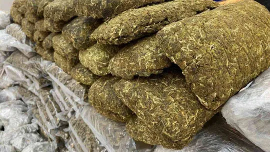 İstanbul'da son 1 ayda 455 kilogram ve 494 bin adet uyuşturucu madde ele geçirildi