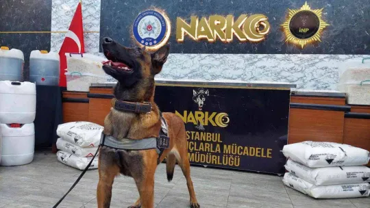 İstanbul'da uyuşturucu operasyonu: 24 gözaltı