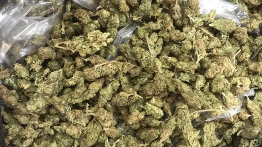 İstanbul'da uyuşturucu operasyonları: 67 gözaltı